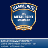 Hammerite Hammered Silver Paint 250ml