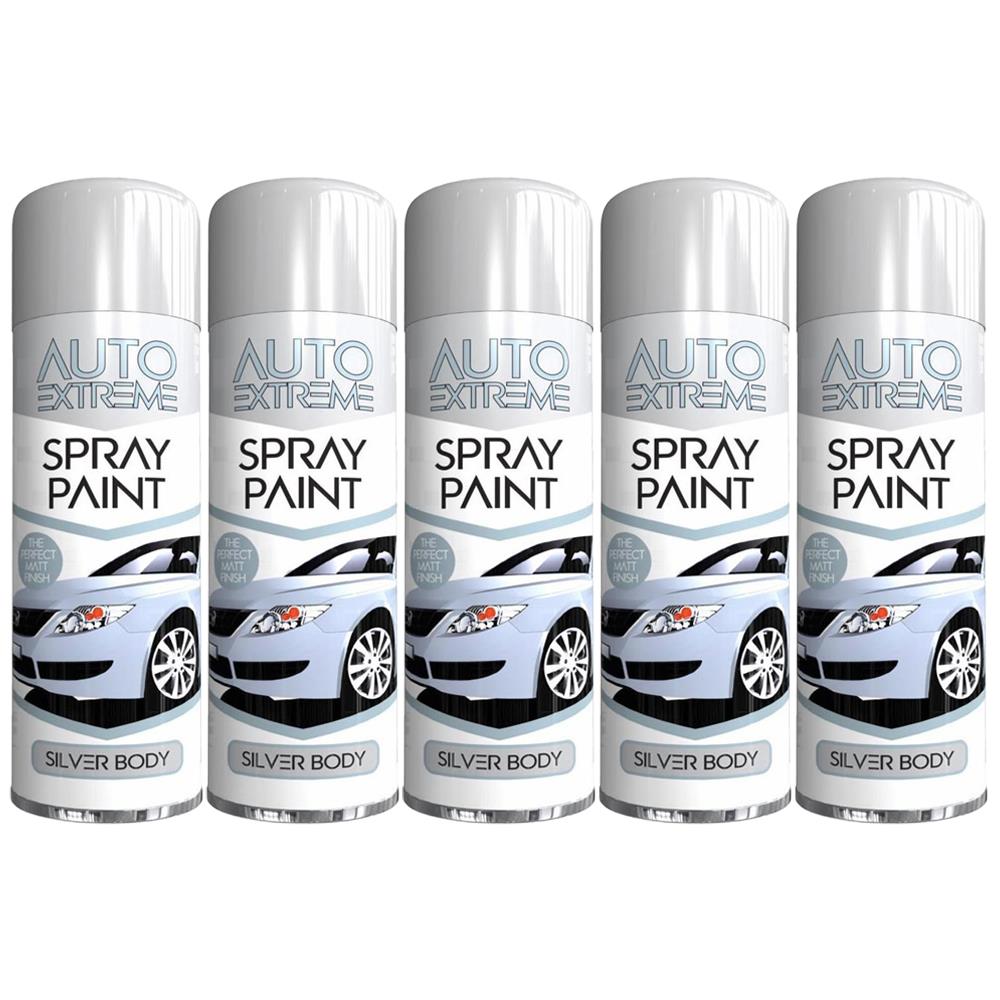 5X Auto Spray Paint Silver Spray Paint 250ml