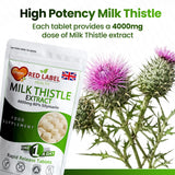 Milk Thistle Extract 4000mg - 100 Tablets