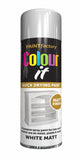 Paint Factory White Matt Spray Paint 250ml