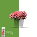 WRX Flat Light Green Spray Paint Solvent Based 400ml