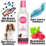 Pride & Groom Dry Doggie Shampoo