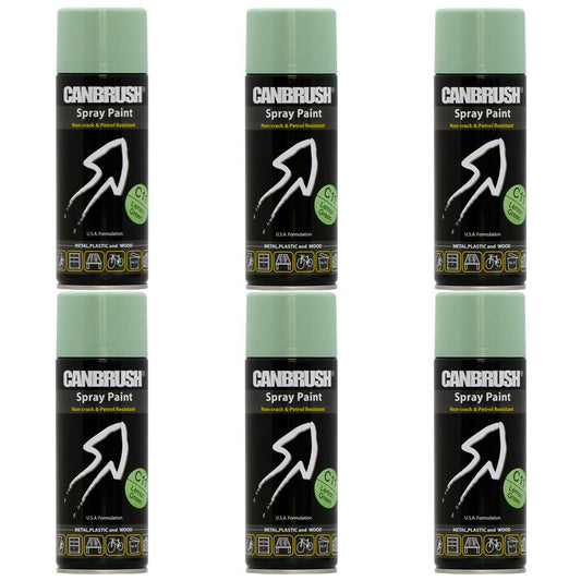 6X Canbrush C11 Surf Green Spray Paint 400ml