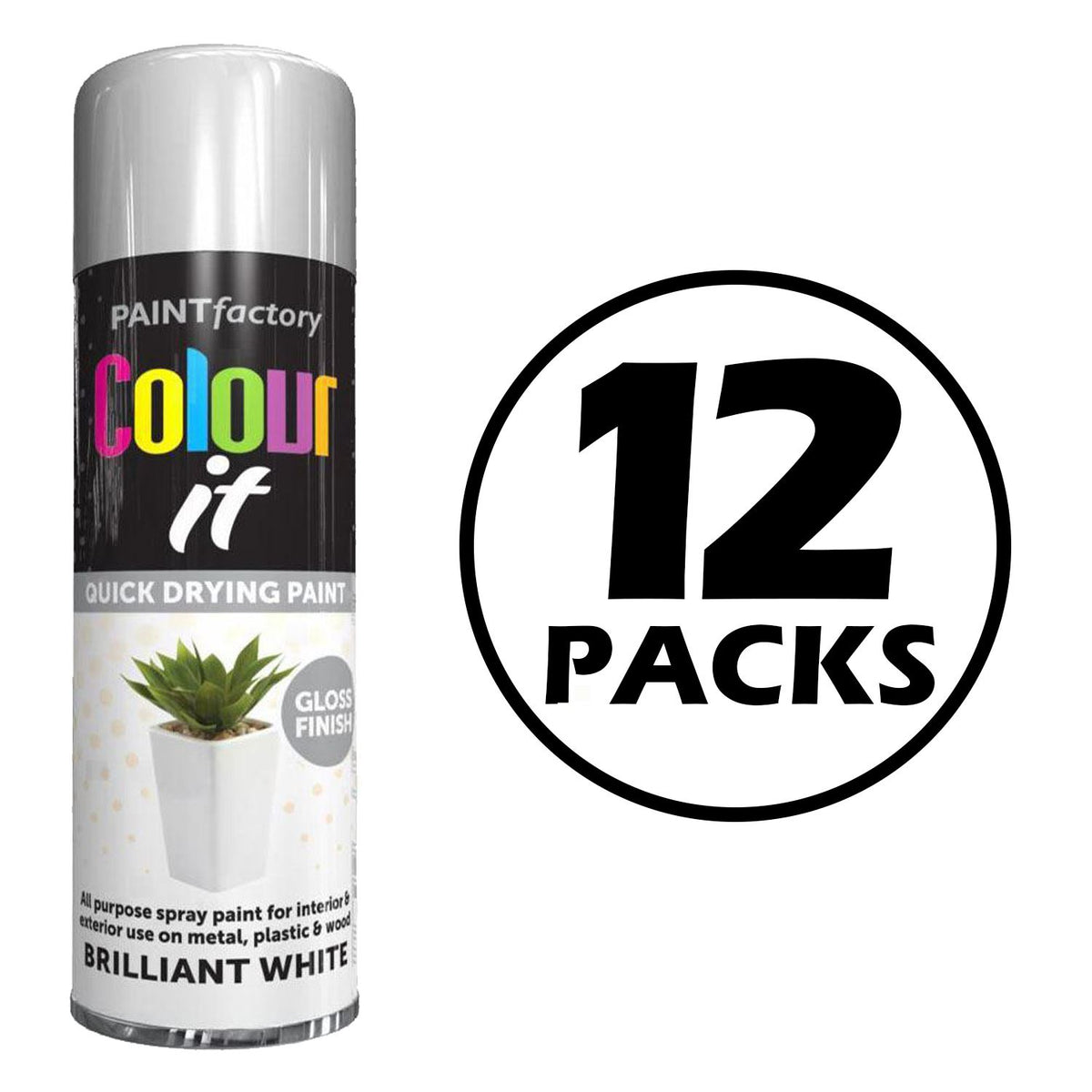 12X Paint Factory White Gloss Spray Paint 250ml