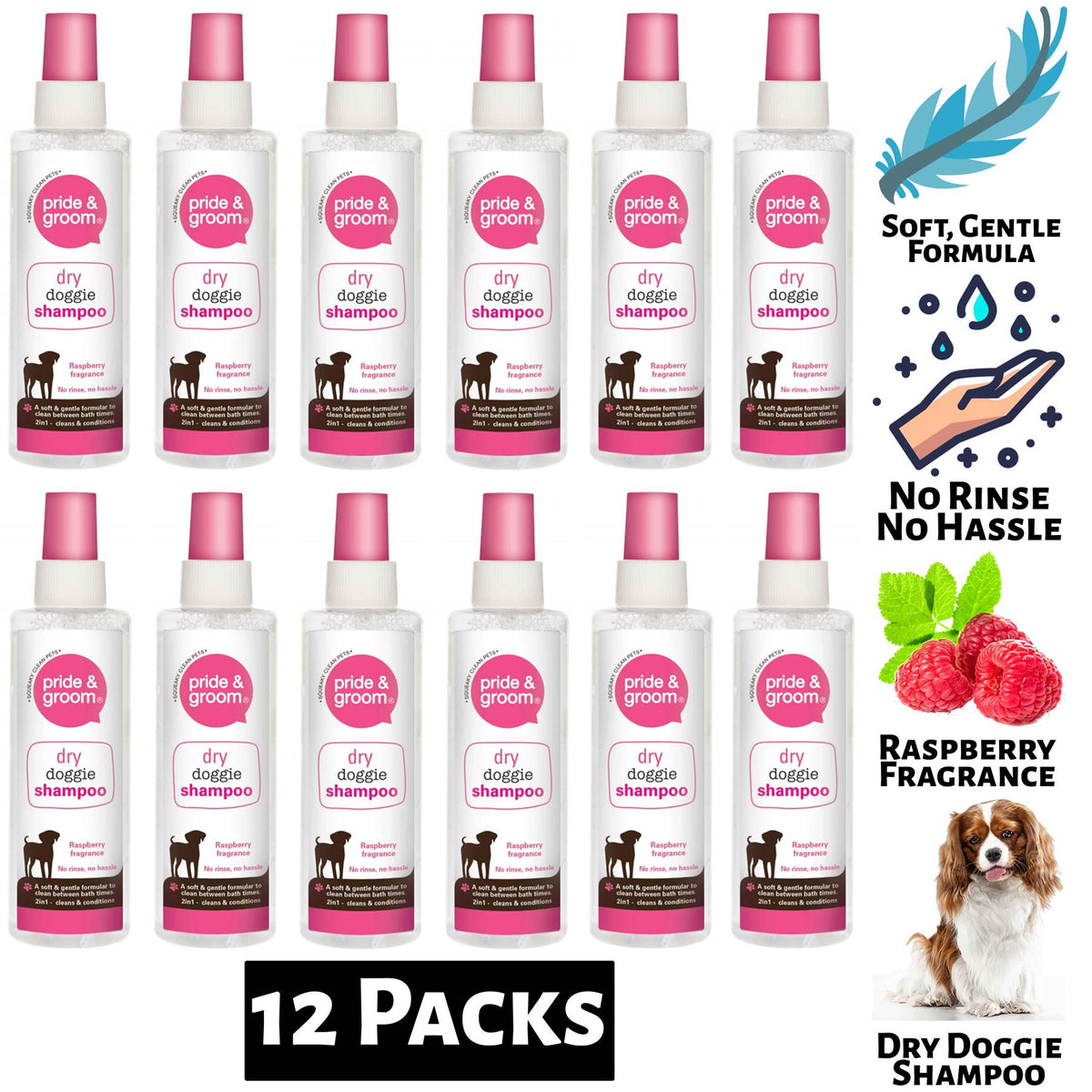 12X Pride & Groom Dry Doggie Shampoo Raspberry Scented