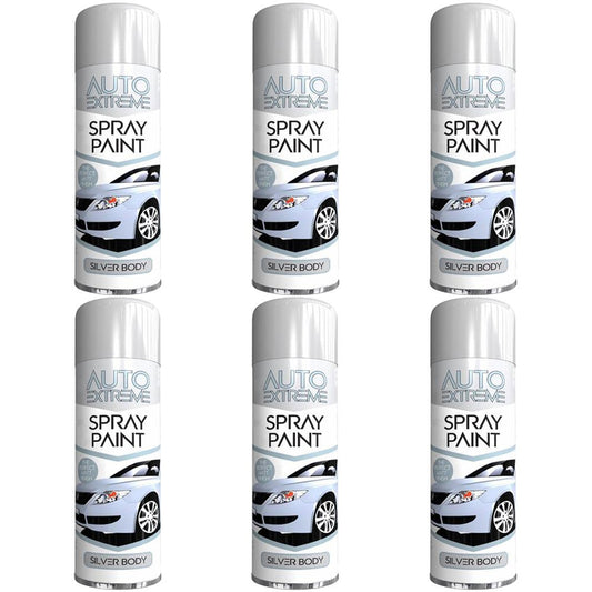 6X Auto Spray Paint Silver Spray Paint 250ml