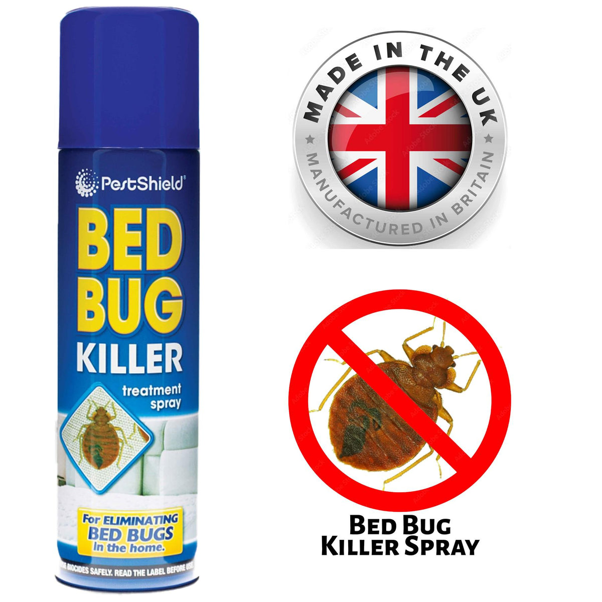 Bed Bug Killer Spray Paint 200ml