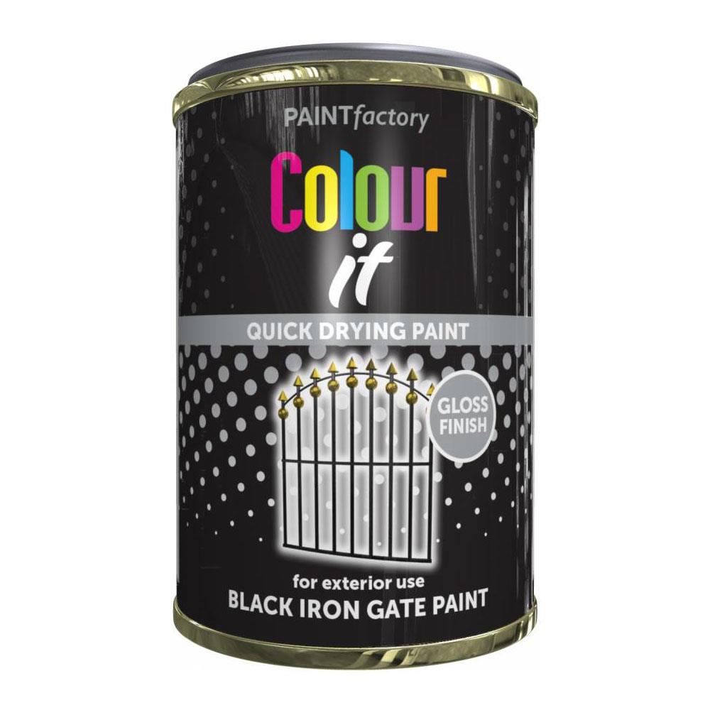 Paint Factory Black Iron Gate Gloss Tin Paint 300ml